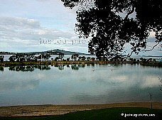 Auckland
